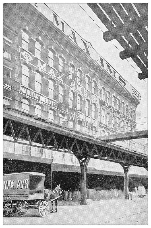 纽约古董黑白照片:MAX AMS，制造商，加工商和进口商